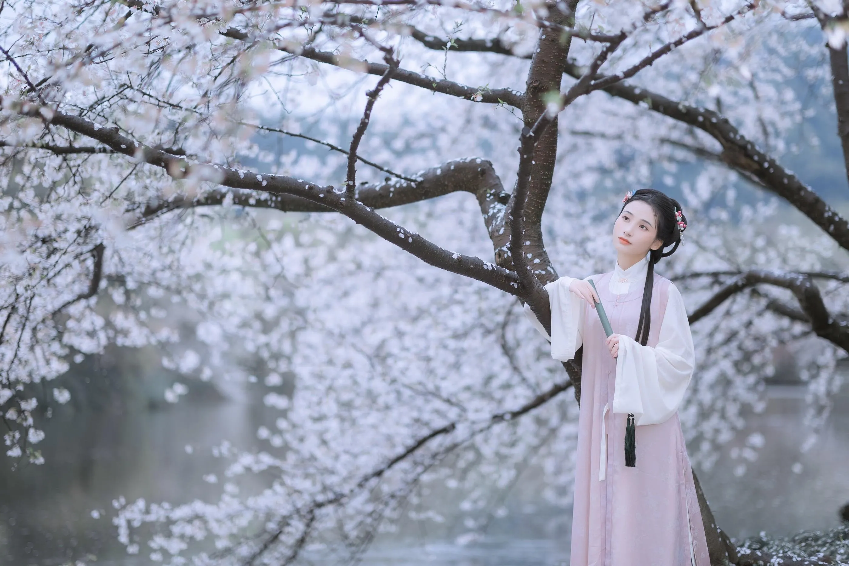 [艺图语] 2022.05.25 雨樱花 眸小妖 [46P]插图7